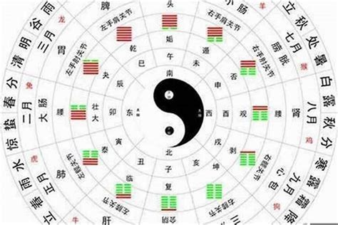 金木水火土数字|1至49数字对应五行，1